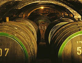 This picture shows the Ratskeller/Council Cellar