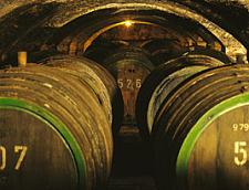 This picture shows the Ratskeller/Council Cellar