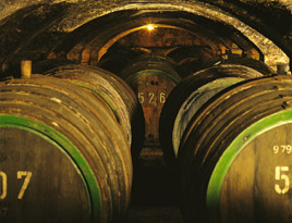 This picture shows the Ratskeller/Council Cellar