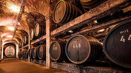 Blick auf alte Weinfässer im Ratskeller