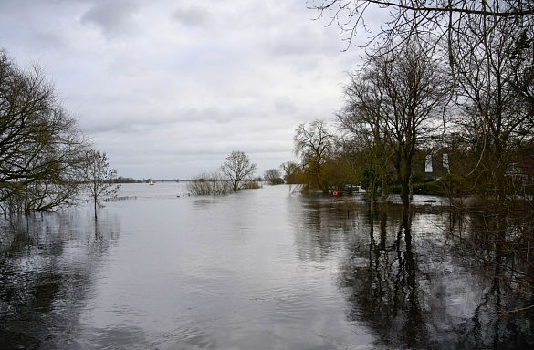 Die Wümme steht in Bremen weit über den Ufern. Weite Gebiete sind überschwemmt.