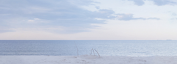 To watch the sea during the day and to listen at night