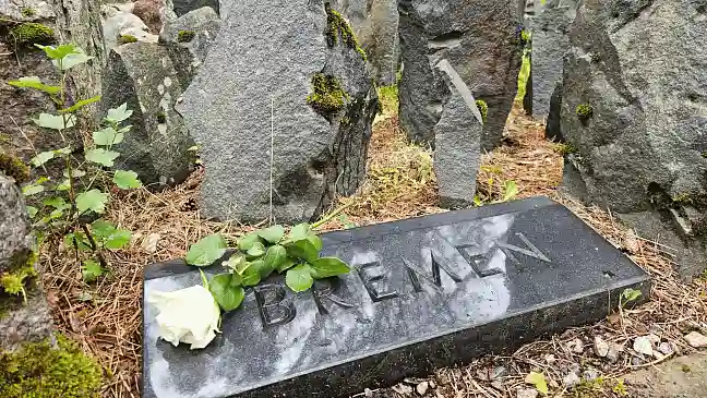 Bremen-Stein in Riga