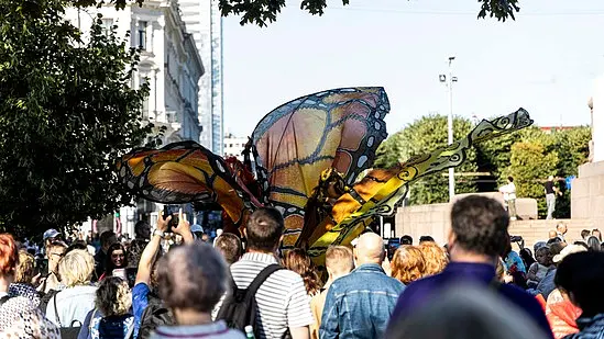 Schmetterlingselfe von Stelzen-Art